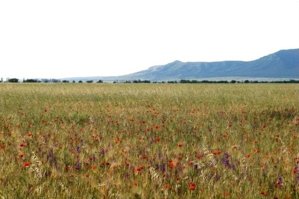 Степь и горы